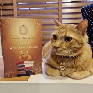image-1 The Cat Who Saved Books, Sosuke Natsukawa