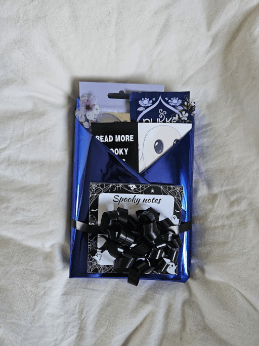 Blind Date With A Book - ADVENT CALENDER - Thriller/Horror Edition