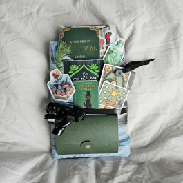 HIHOPIA 45 Blind Date With A Book - ADVENT CALENDER - Thriller/Horror Edition